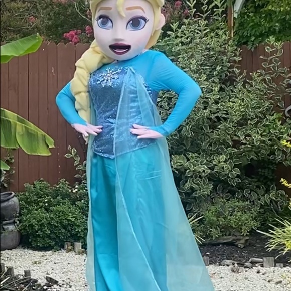 Adult costume Disney princess frozen, we can make any princess. - Picture 8 of 10